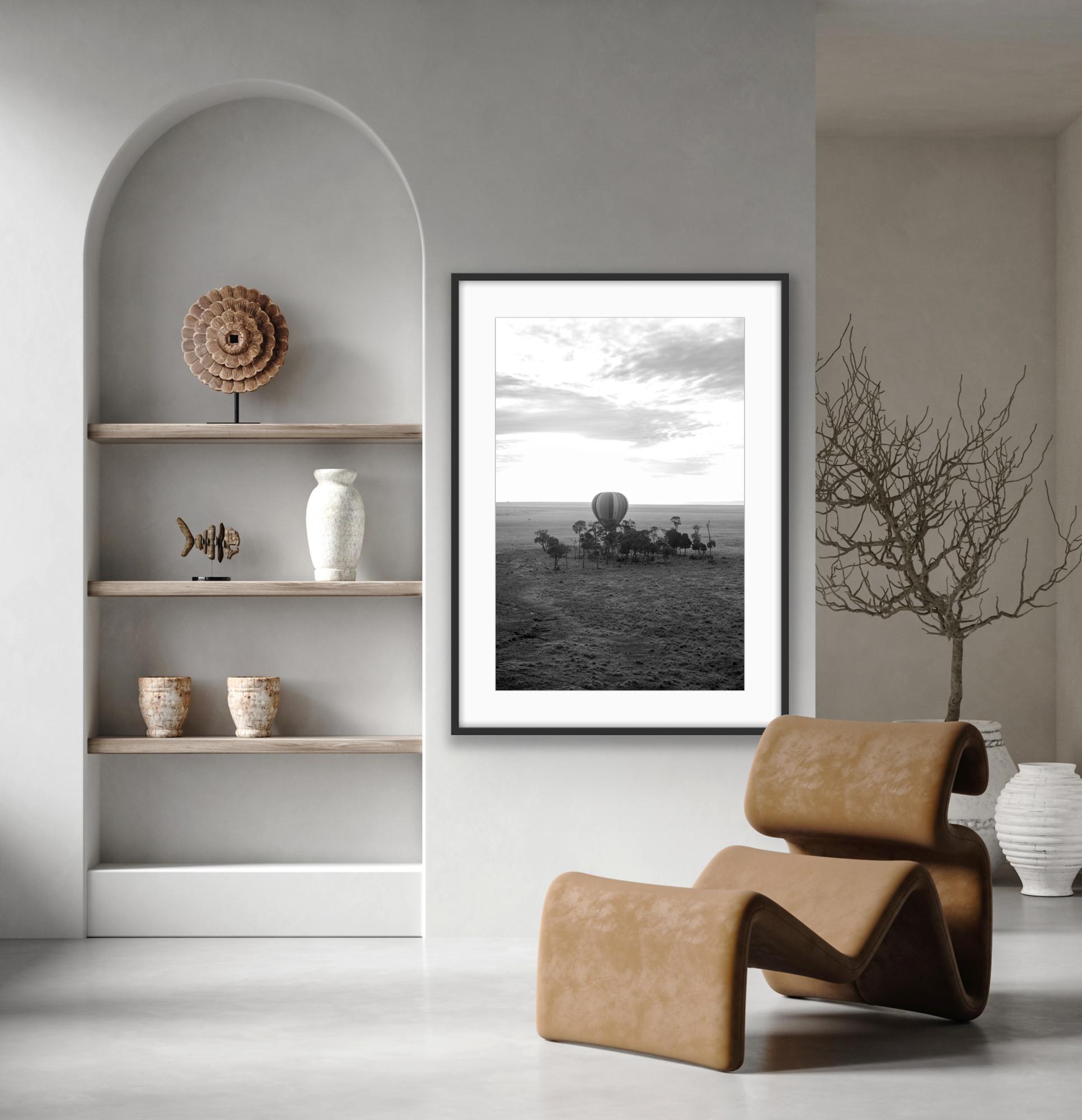 Sky Safari in great room